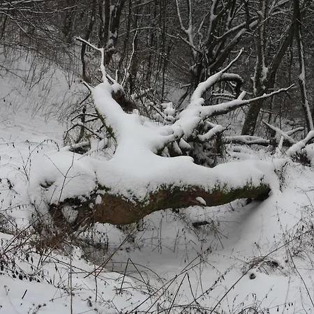 Ferienpark Winterberg Szálloda 2*