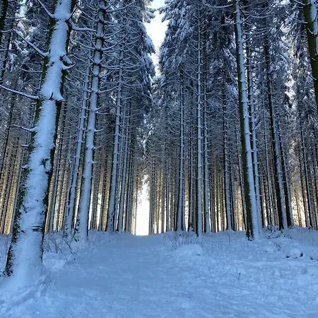 Otel Ferienpark Winterberg Winterberg
