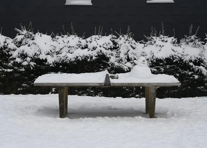 Otel Ferienpark Winterberg 2*