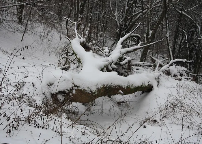 Ferienpark Winterberg Hotel 2*
