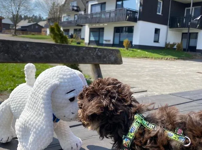 Ferienpark Winterberg